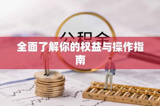 柘城全面了解你的权益与操作指南