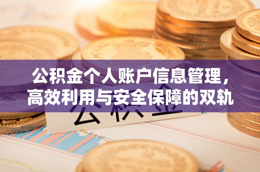 柘城公积金个人账户信息管理，高效利用与安全保障的双轨并行