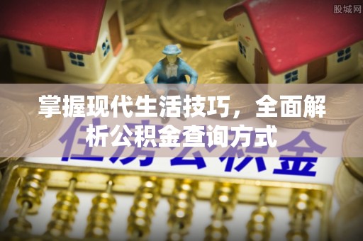 柘城掌握现代生活技巧，全面解析公积金查询方式