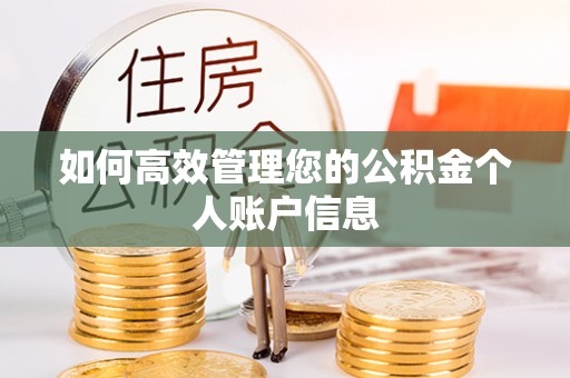 柘城如何高效管理您的公积金个人账户信息