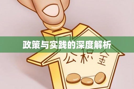 柘城政策与实践的深度解析