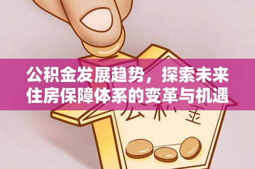 柘城公积金发展趋势，探索未来住房保障体系的变革与机遇