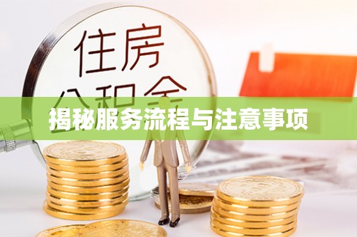 柘城揭秘服务流程与注意事项
