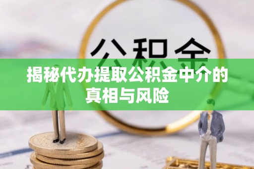 柘城揭秘代办提取公积金中介的真相与风险