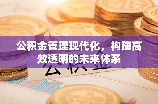 柘城公积金管理现代化，构建高效透明的未来体系