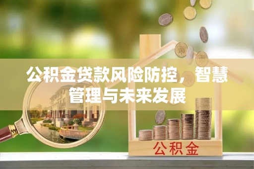 柘城公积金贷款风险防控，智慧管理与未来发展