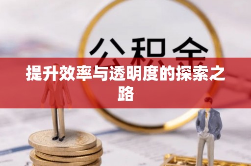柘城提升效率与透明度的探索之路