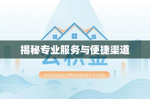 柘城揭秘专业服务与便捷渠道