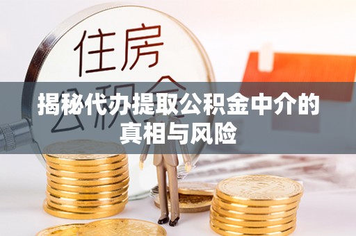 柘城揭秘代办提取公积金中介的真相与风险