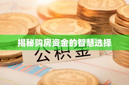 柘城揭秘购房资金的智慧选择