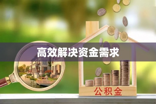 柘城高效解决资金需求