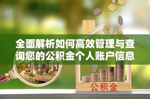柘城全面解析如何高效管理与查询您的公积金个人账户信息