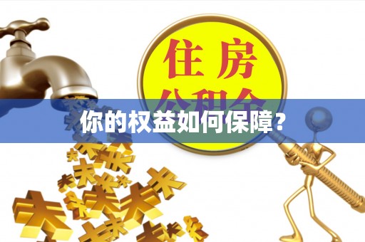 柘城你的权益如何保障？