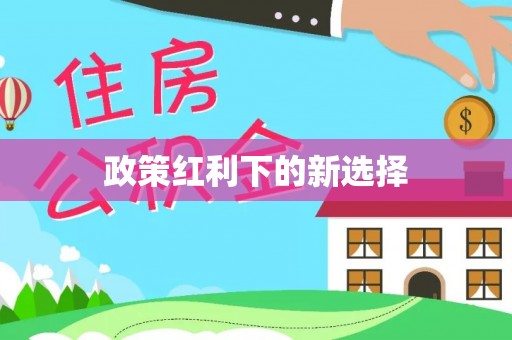 柘城政策红利下的新选择