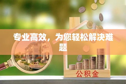 柘城专业高效，为您轻松解决难题