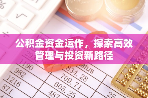 柘城公积金资金运作，探索高效管理与投资新路径