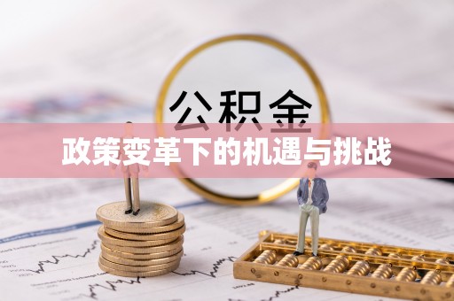 柘城政策变革下的机遇与挑战