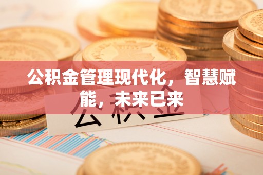 柘城公积金管理现代化，智慧赋能，未来已来