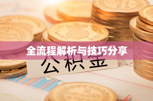 柘城全流程解析与技巧分享