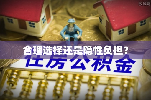 柘城合理选择还是隐性负担？