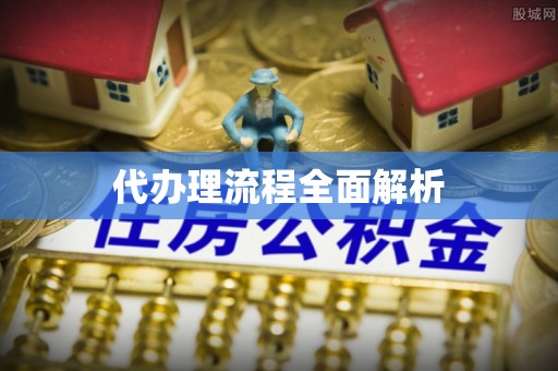 柘城代办理流程全面解析