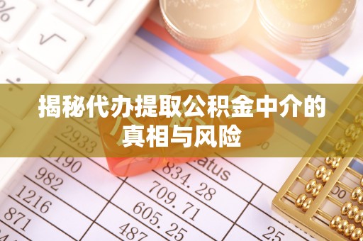 柘城揭秘代办提取公积金中介的真相与风险