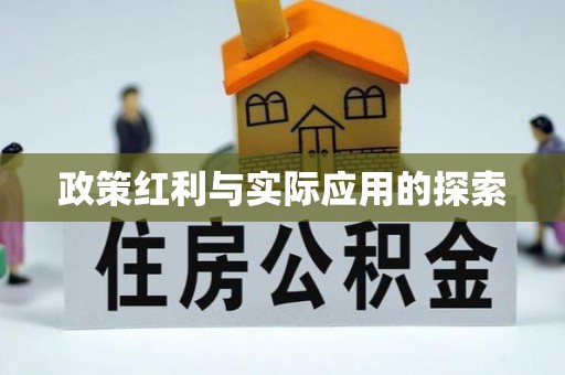 柘城政策红利与实际应用的探索