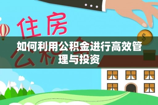 柘城如何利用公积金进行高效管理与投资