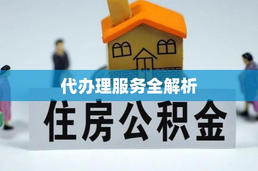 柘城代办理服务全解析
