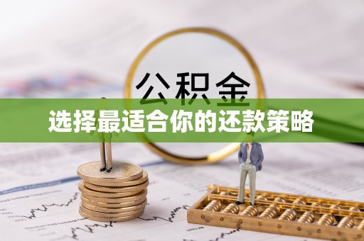 柘城选择最适合你的还款策略