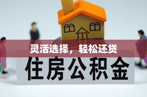 柘城灵活选择，轻松还贷